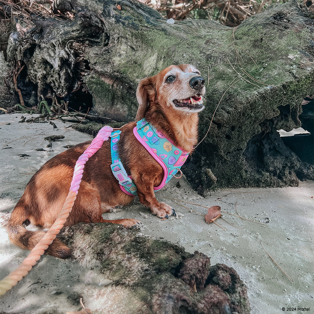 Dog Adjustable Harness - Polly Pocket™
