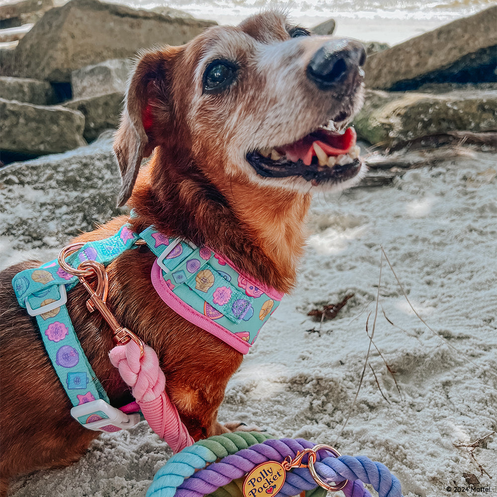 Dog Rope Leash - Polly Pocket™
