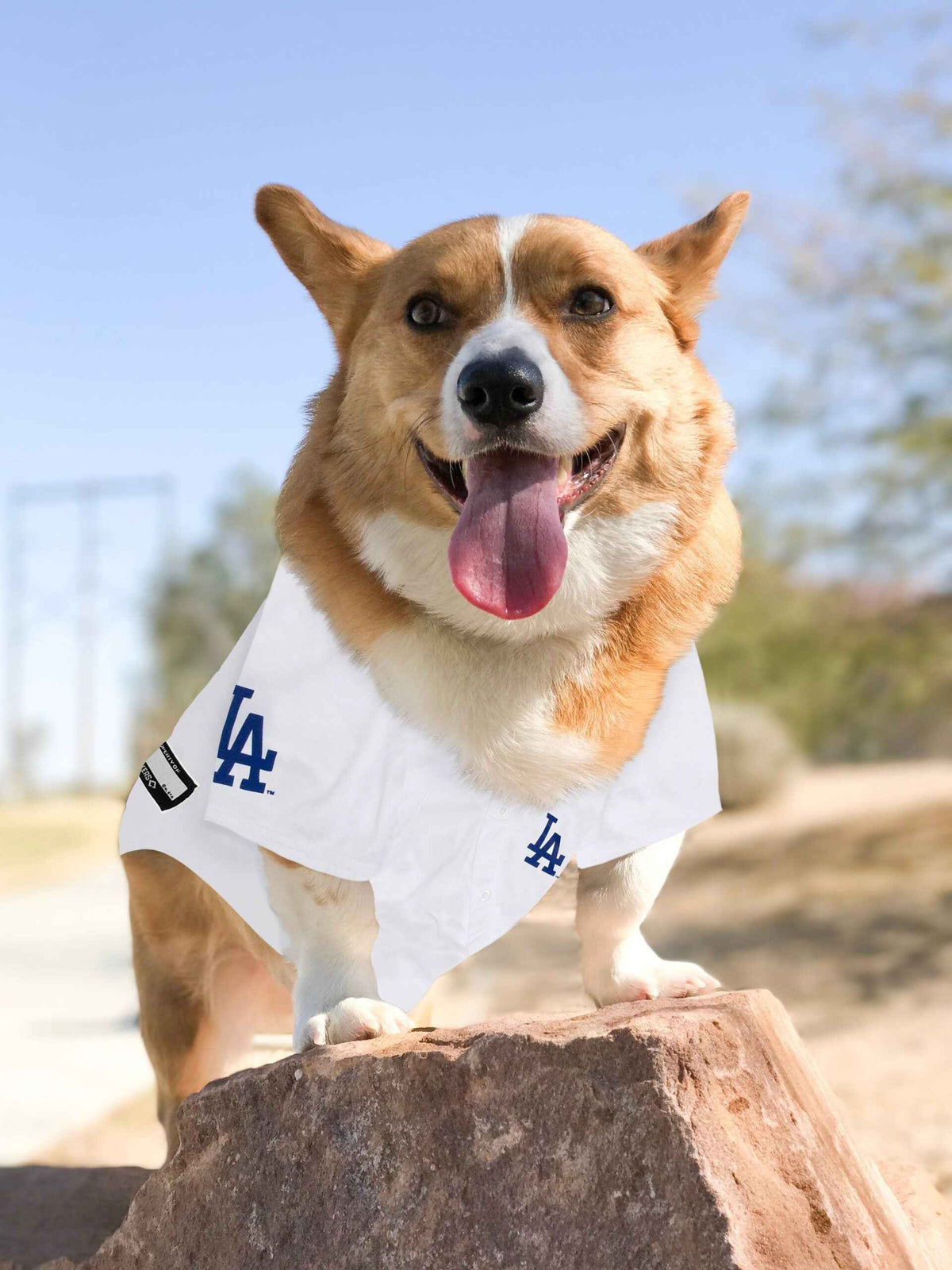 MLB Los Angeles Dodgers Shohei Ohtani Mesh Pet Jersey