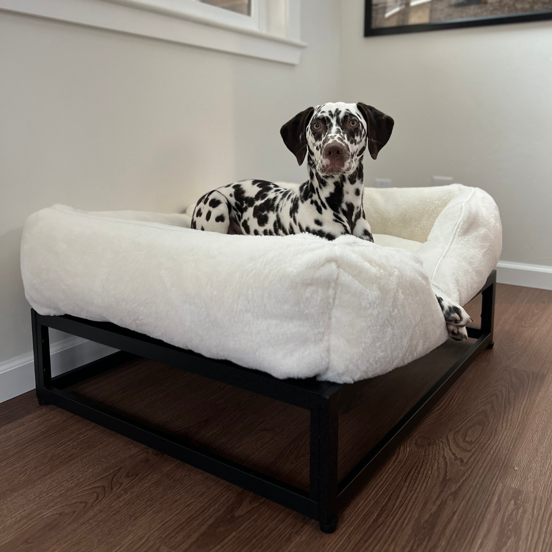 The FUZI Elevated Dog Bed
