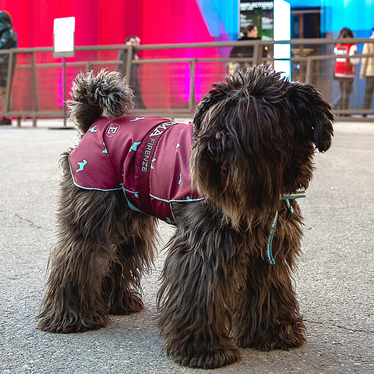 Pattern Rain-Coat