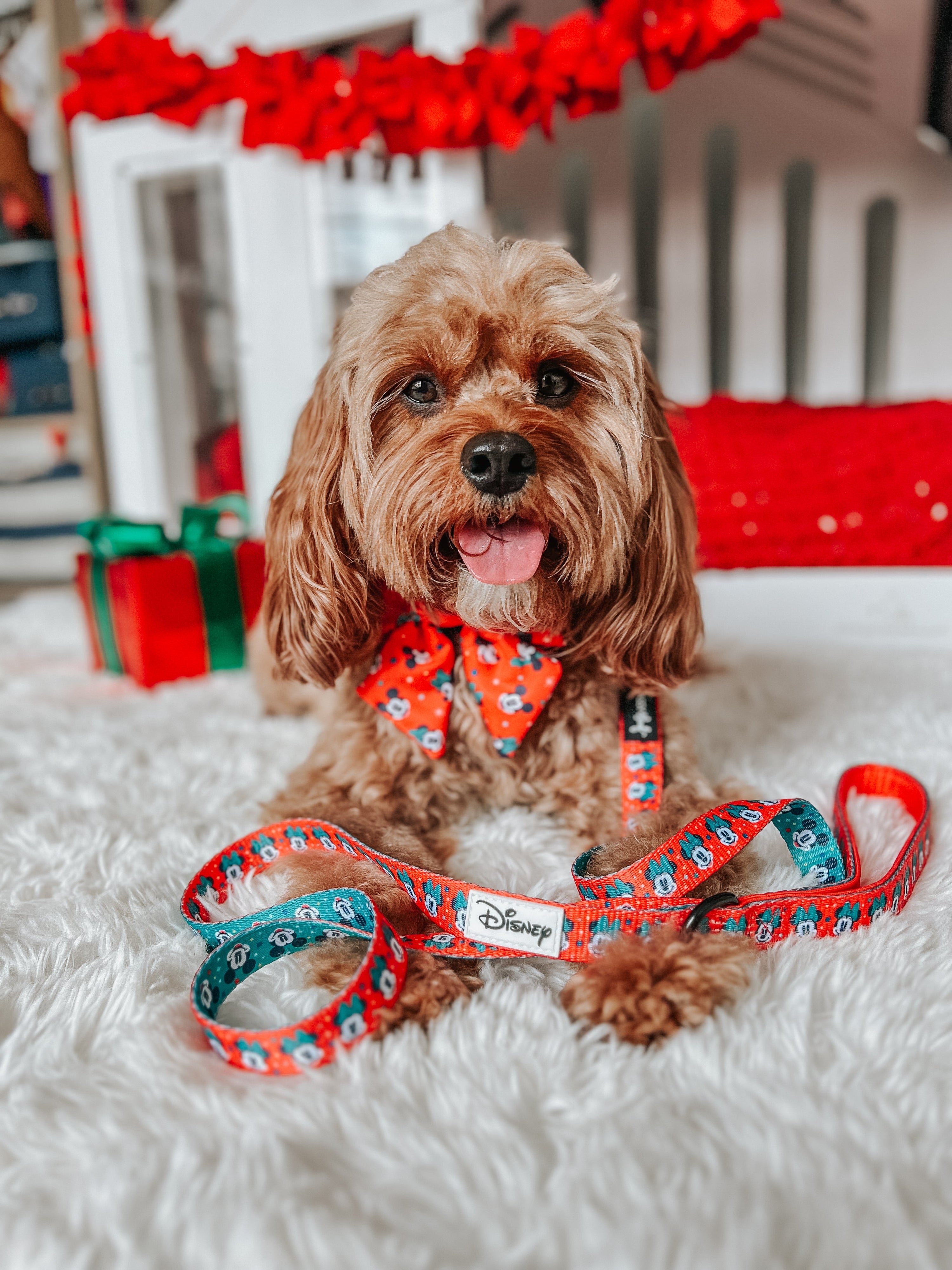 Dog Leash - Disney Holiday Collection
