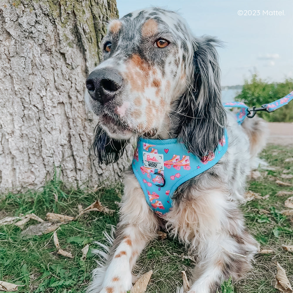 Dog Adjustable Harness - BARBIE™ On a Roll