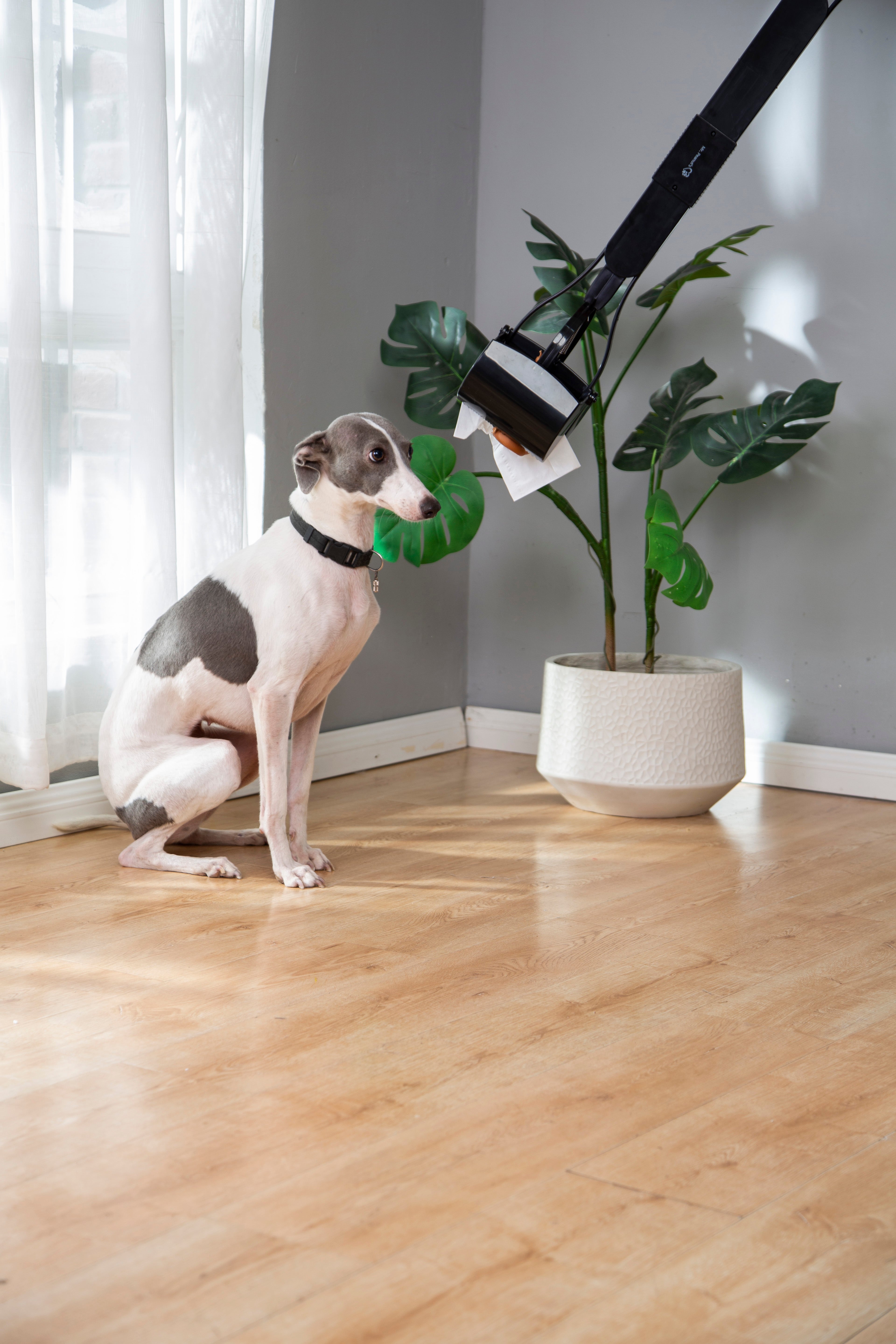 Mr. Peanuts 32" Tall Profile Pooper Scooper