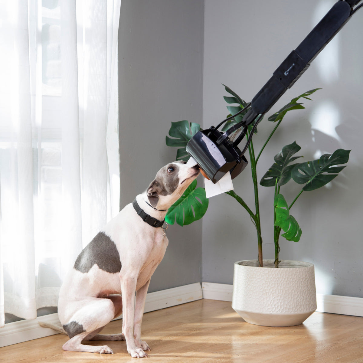 Mr. Peanuts 32" Tall Profile Pooper Scooper | HT Animal Supply