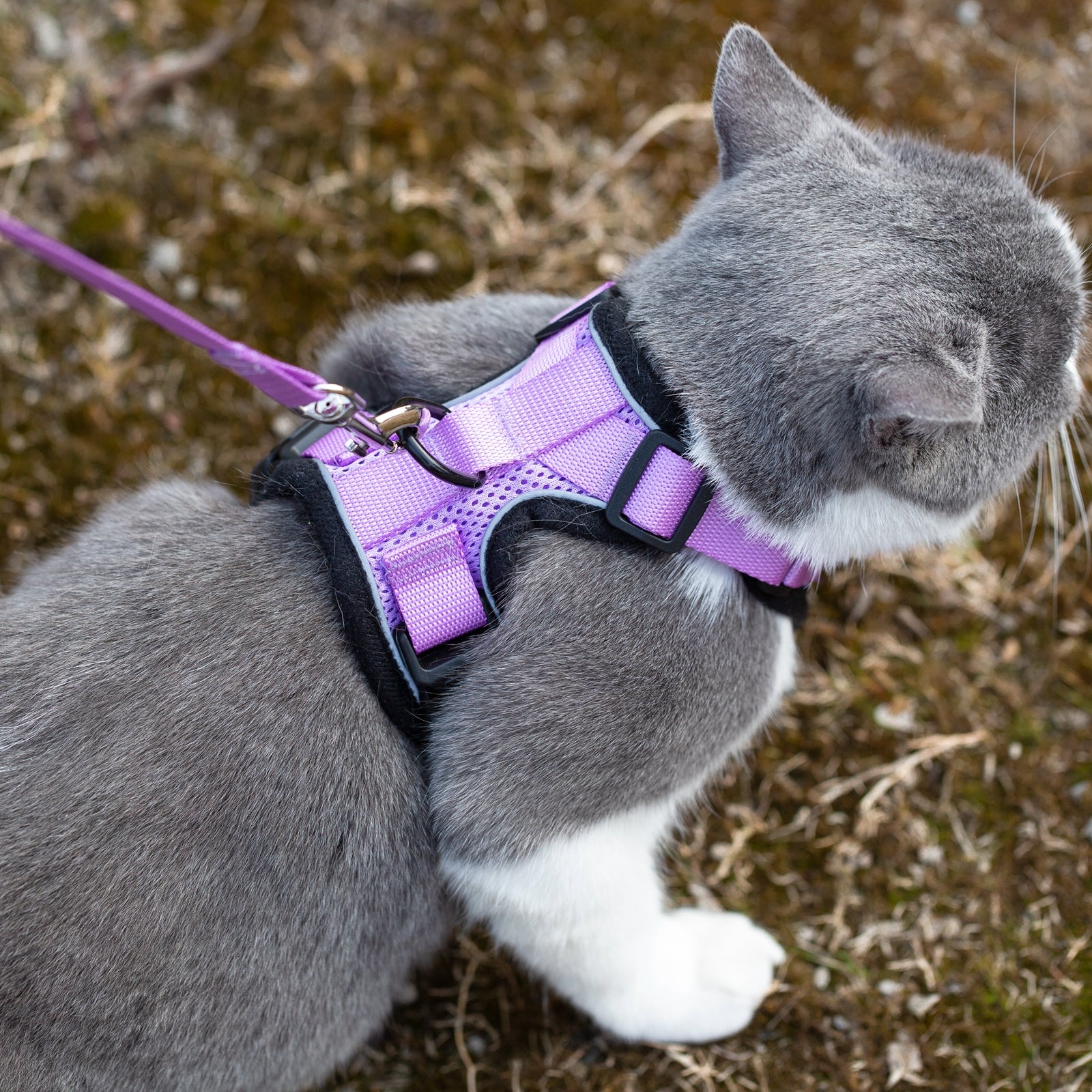 Mr. Peanuts PurrTrek Reflective Cat Harness with Matching Leash