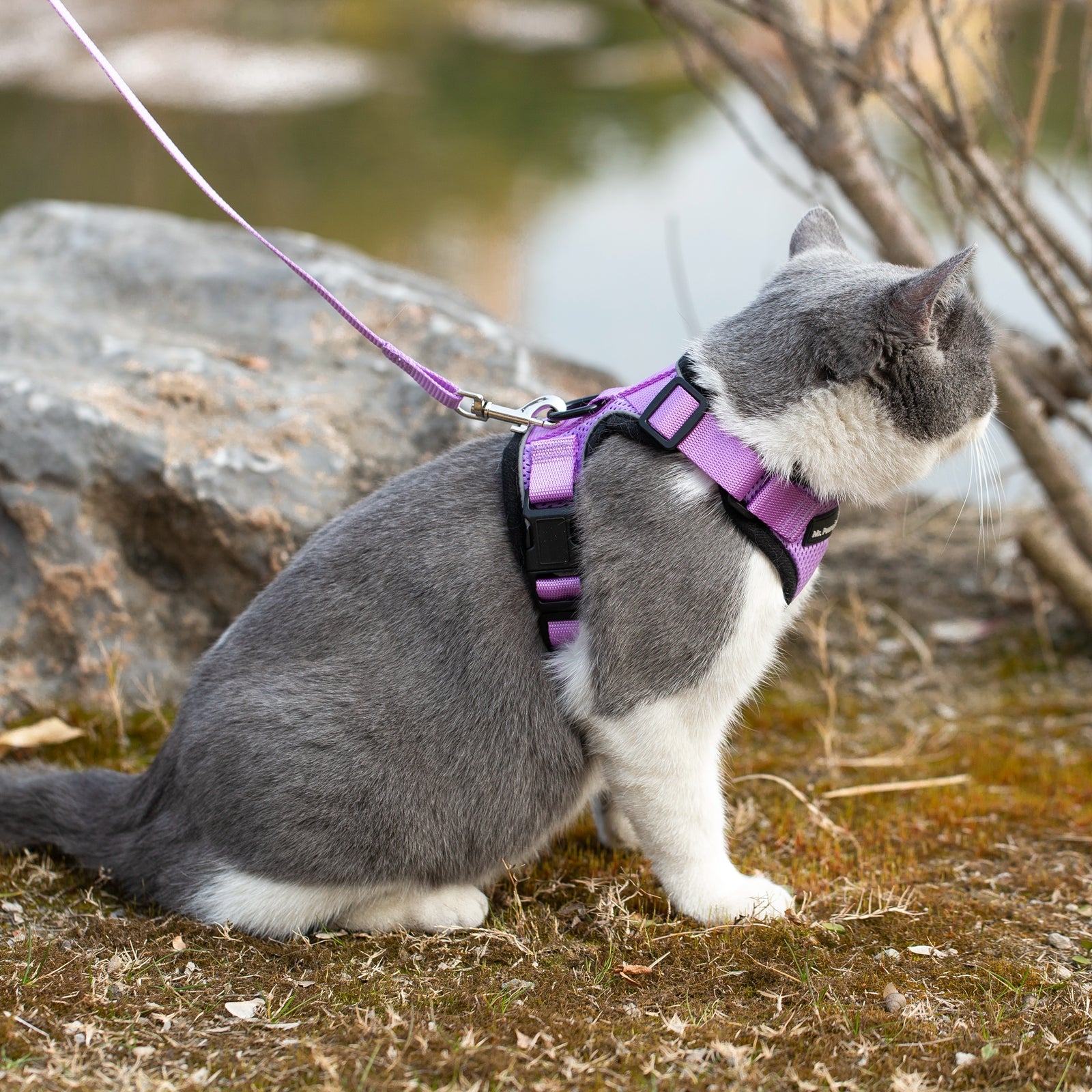 Mr. Peanuts PurrTrek Reflective Cat Harness with Matching Leash