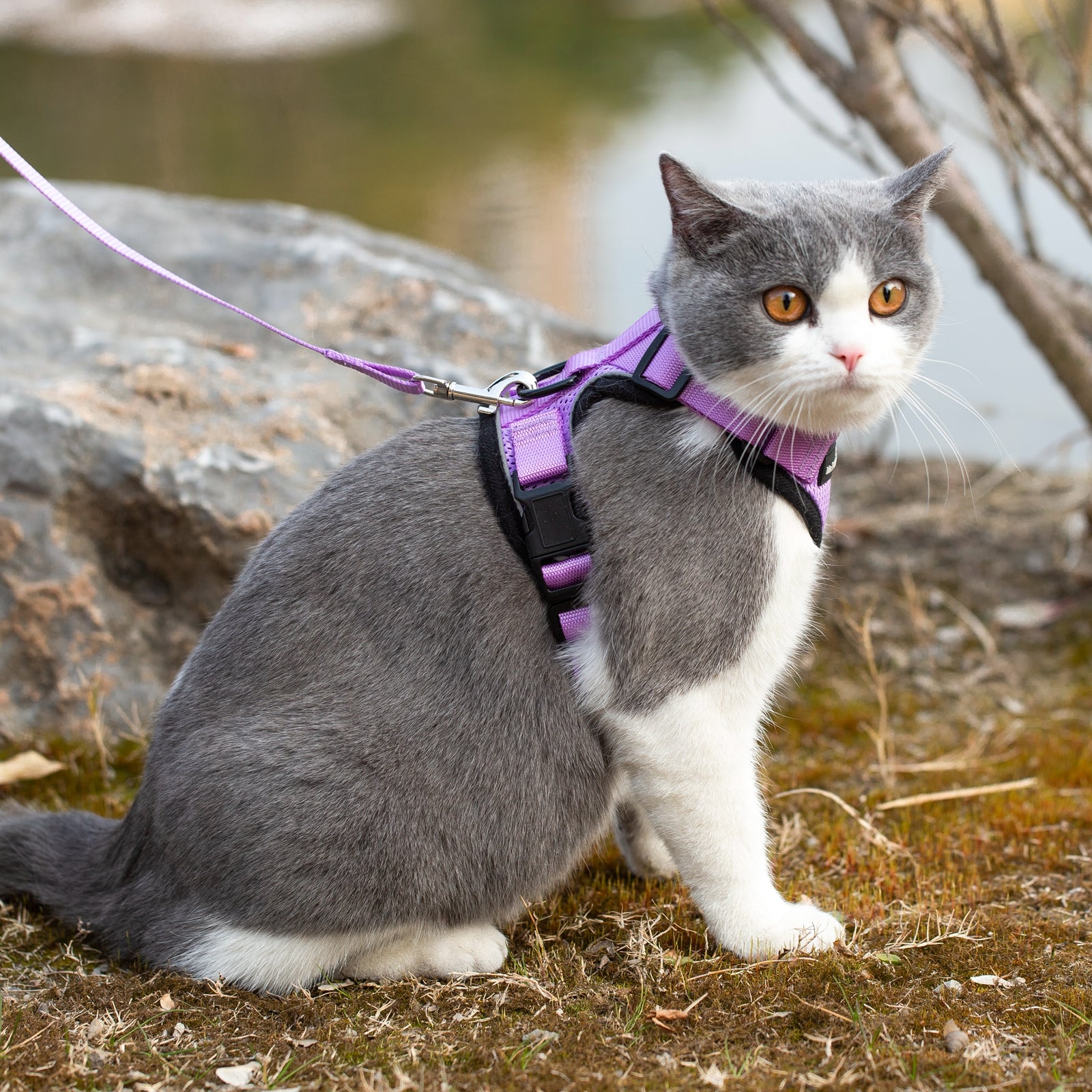 Mr. Peanuts PurrTrek Reflective Cat Harness with Matching Leash