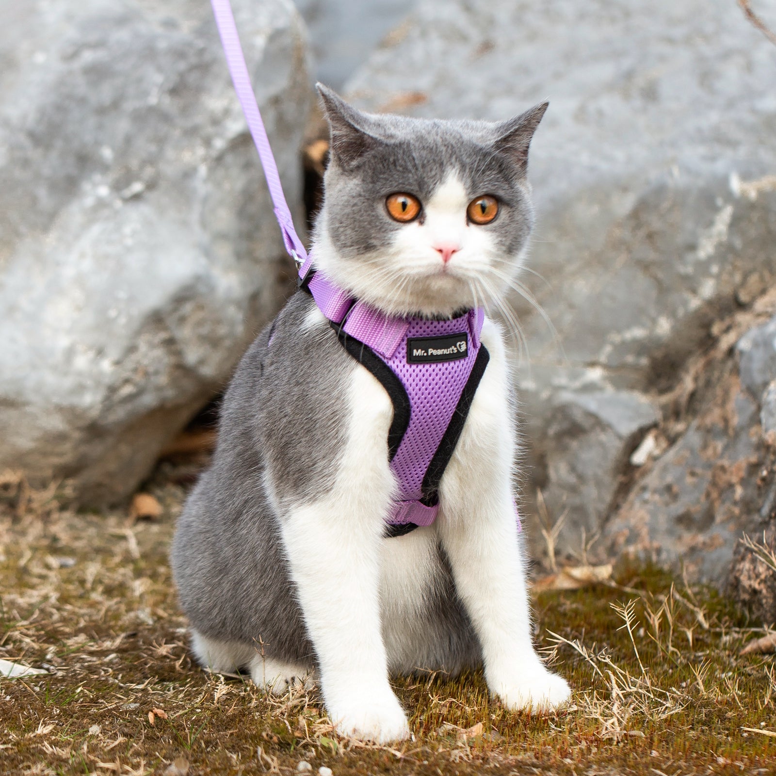 Mr. Peanuts PurrTrek Reflective Cat Harness with Matching Leash