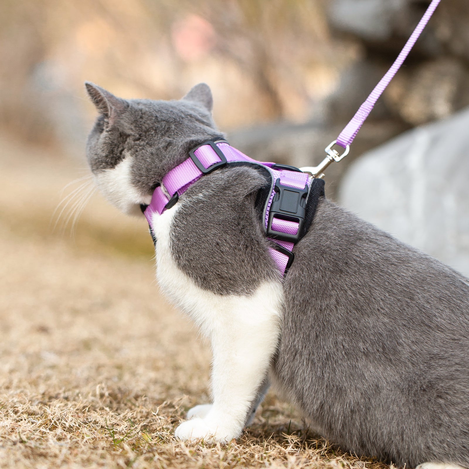 Mr. Peanuts PurrTrek Reflective Cat Harness with Matching Leash