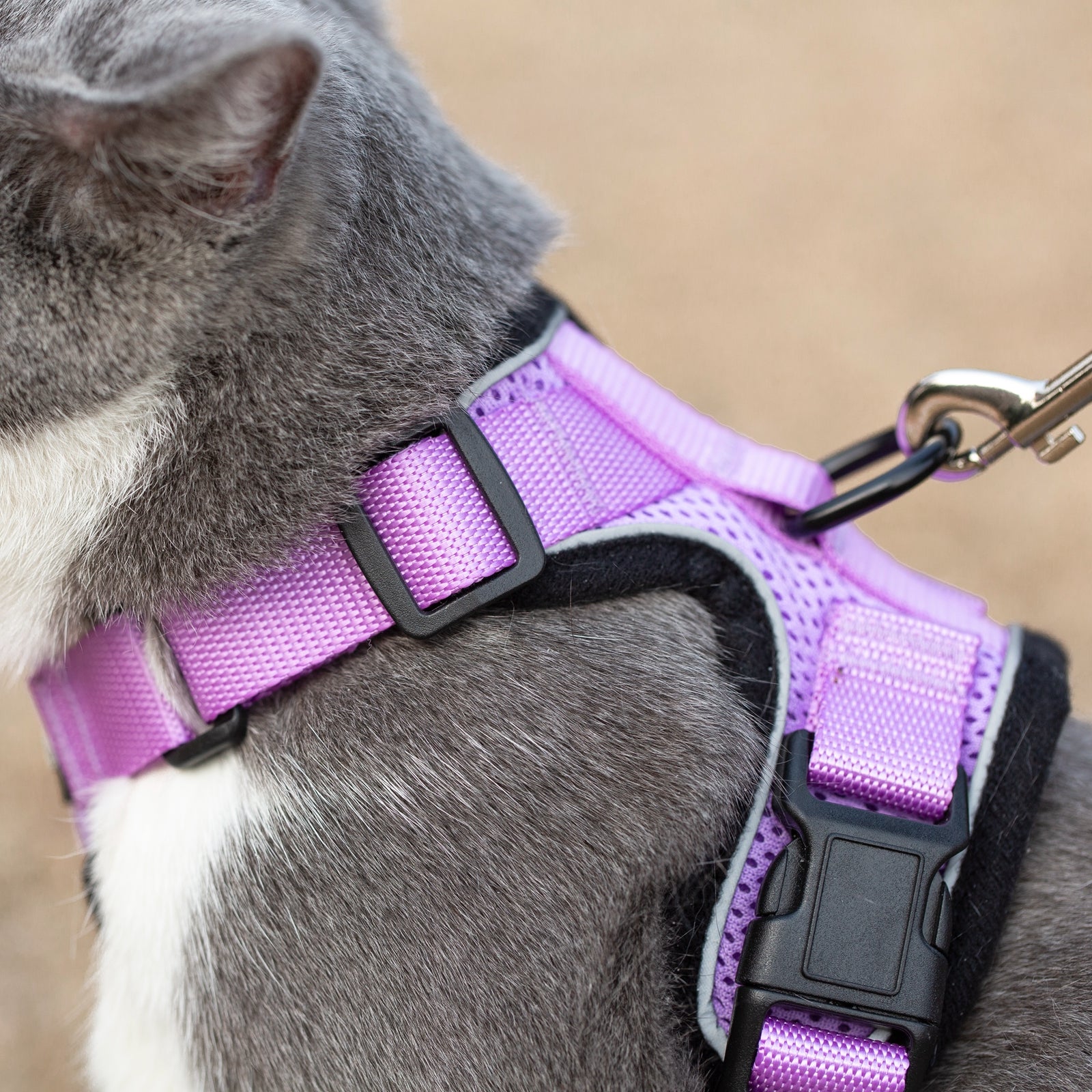 Mr. Peanuts PurrTrek Reflective Cat Harness with Matching Leash