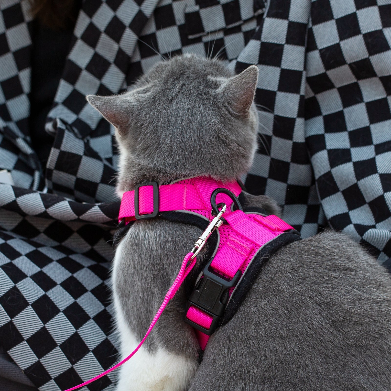 Mr. Peanuts PurrTrek Reflective Cat Harness with Matching Leash