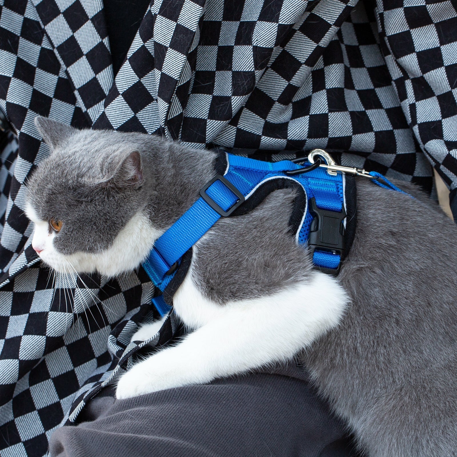 Mr. Peanuts PurrTrek Reflective Cat Harness with Matching Leash