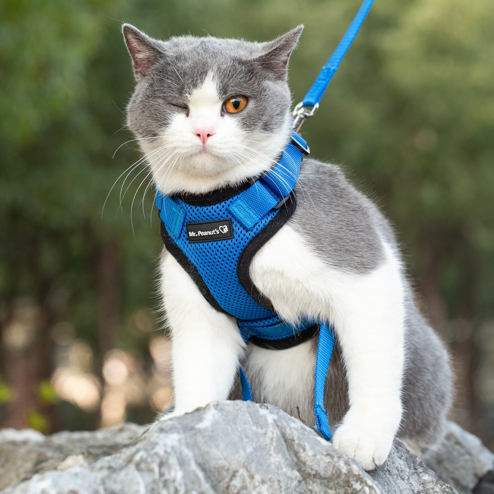 Mr. Peanuts PurrTrek Reflective Cat Harness with Matching Leash