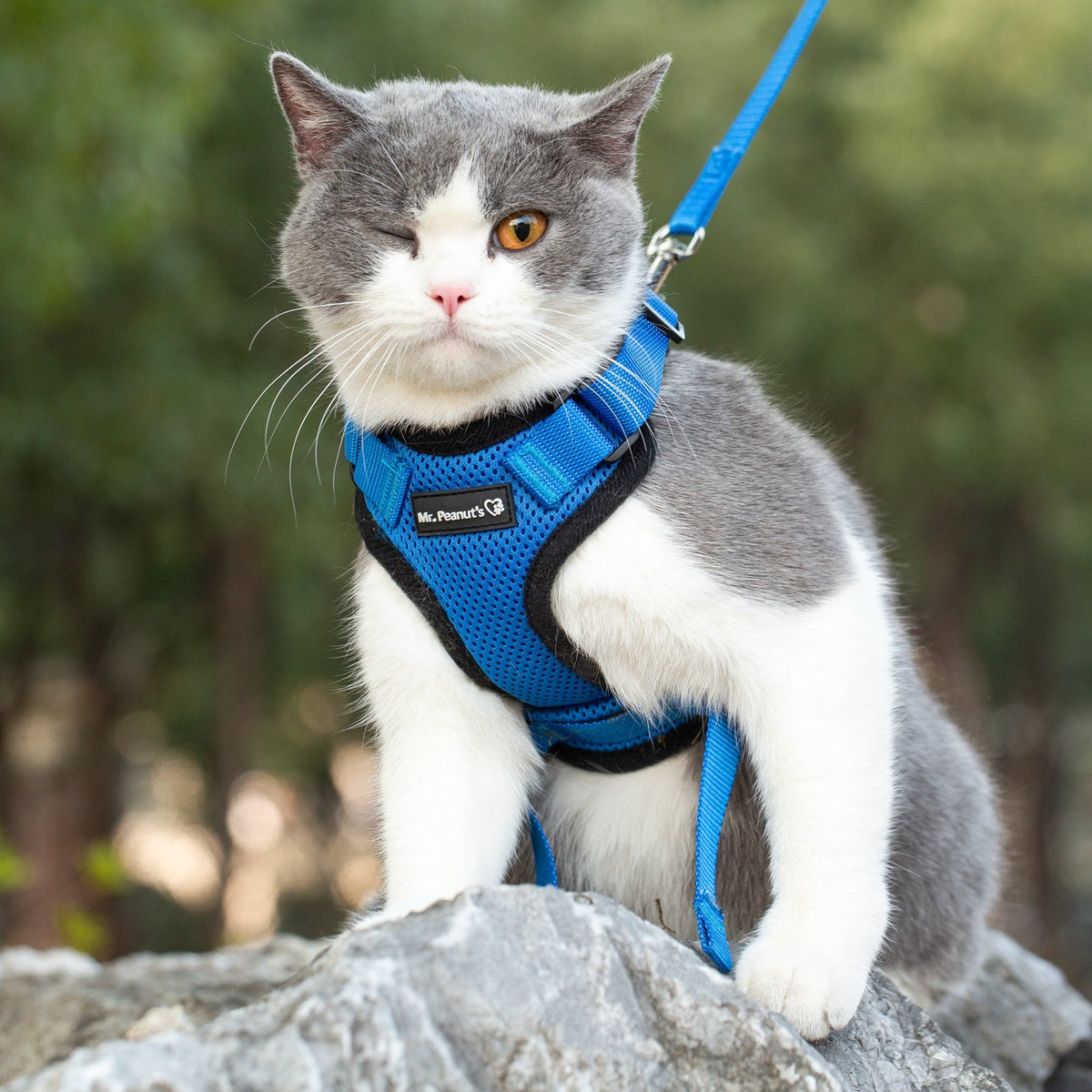 Mr. Peanuts PurrTrek Reflective Cat Harness with Matching Leash