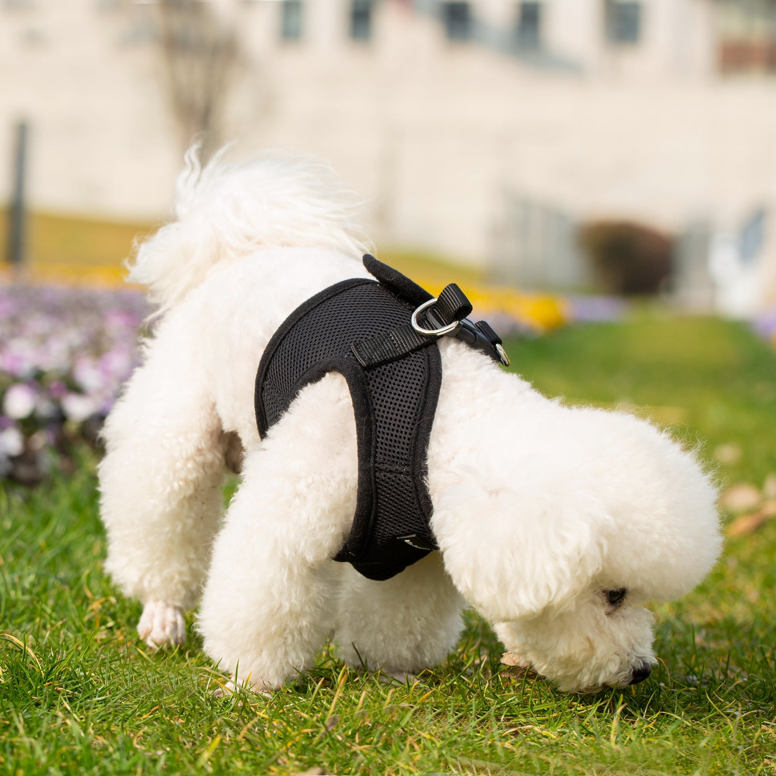 Mr. Peanuts PupTrek Harness and Leash Set, Small Dog/Cat Soft Mesh Step In Harness Vest