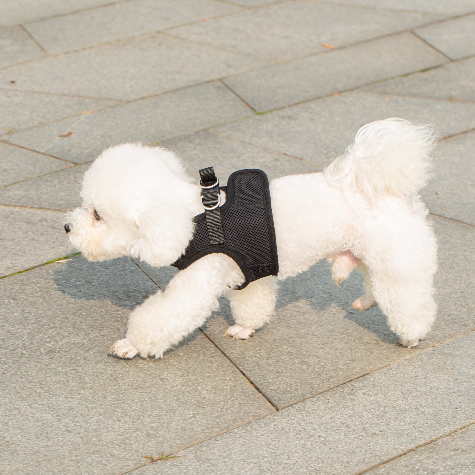 Mr. Peanuts PupTrek Harness and Leash Set, Small Dog/Cat Soft Mesh Step In Harness Vest