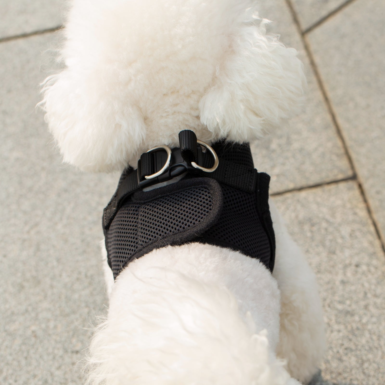 Mr. Peanuts PupTrek Harness and Leash Set, Small Dog/Cat Soft Mesh Step In Harness Vest