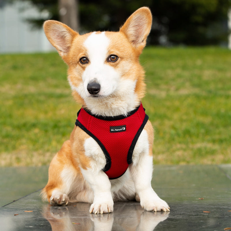 Mr. Peanuts PupTrek Harness and Leash Set,  Small Dog/Cat Soft Mesh Step In Harness Vest 