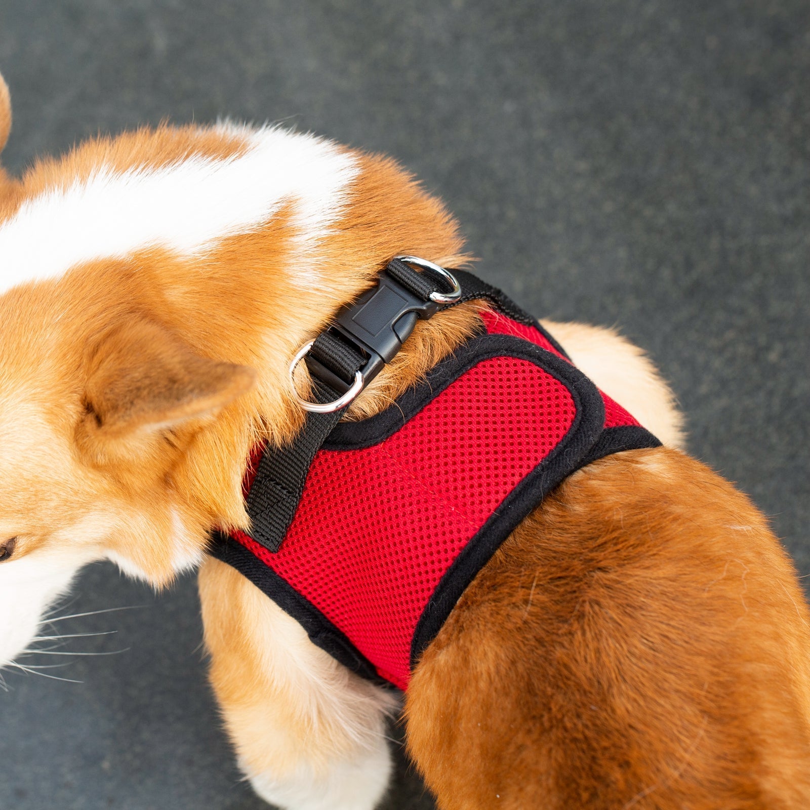 Mr. Peanuts PupTrek Harness and Leash Set, Small Dog/Cat Soft Mesh Step In Harness Vest
