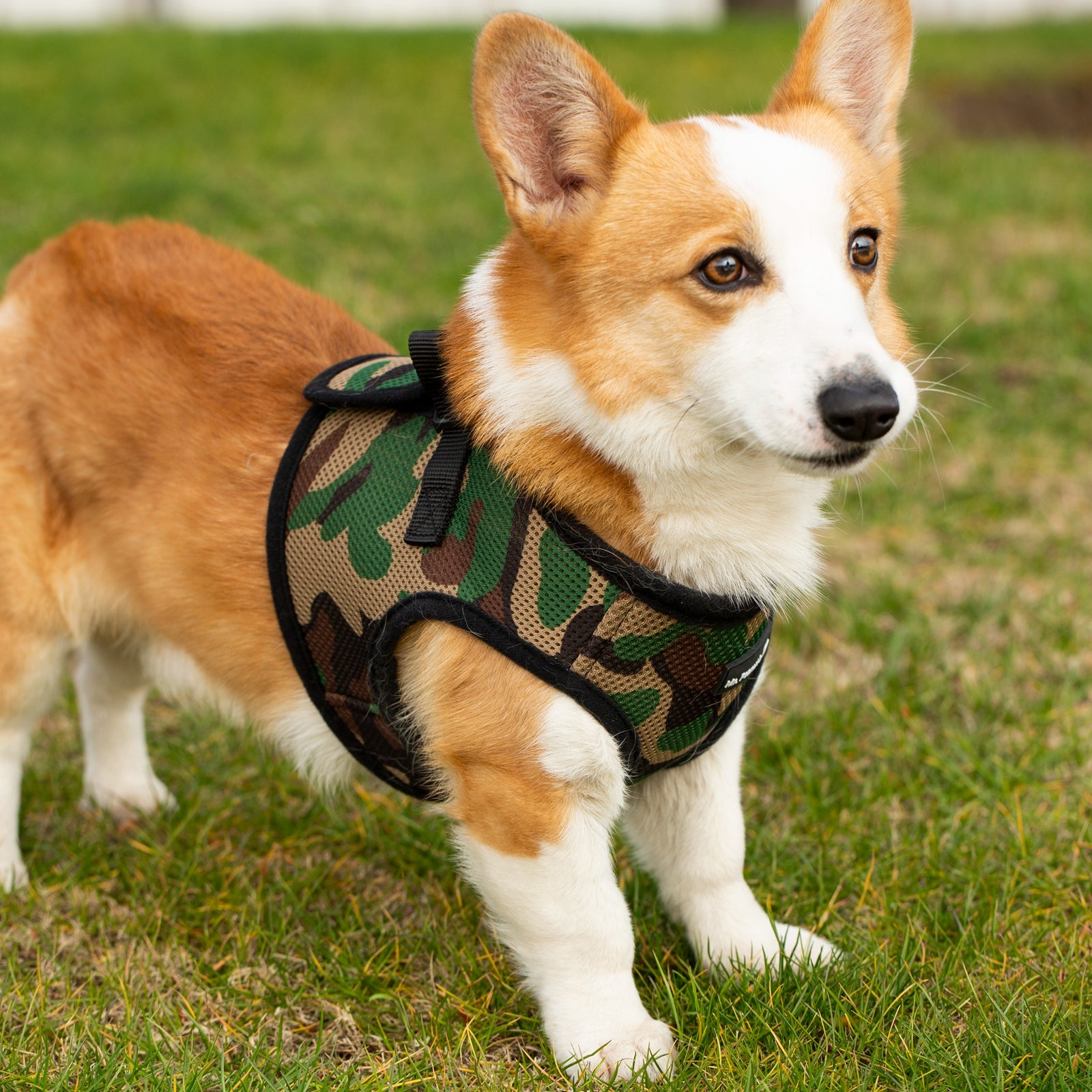 Mr. Peanuts PupTrek Harness and Leash Set, Small Dog/Cat Soft Mesh Step In Harness Vest