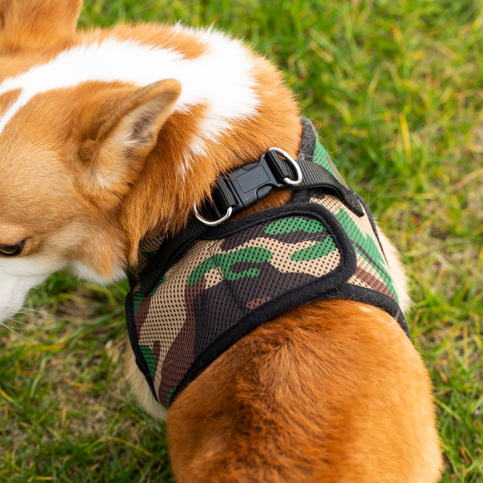 Mr. Peanuts PupTrek Harness and Leash Set, Small Dog/Cat Soft Mesh Step In Harness Vest