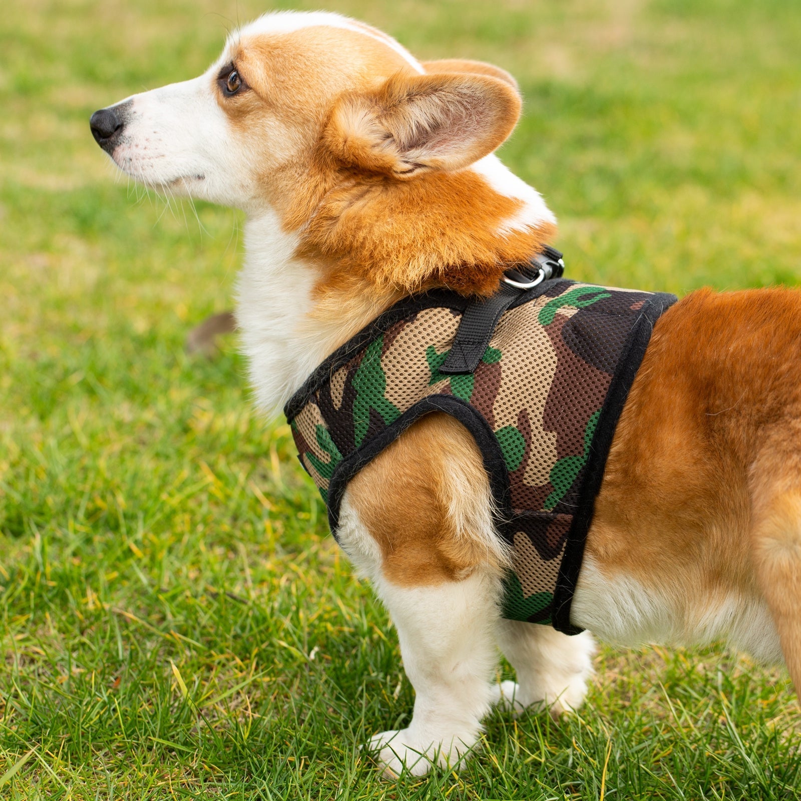 Mr. Peanuts PupTrek Harness and Leash Set, Small Dog/Cat Soft Mesh Step In Harness Vest