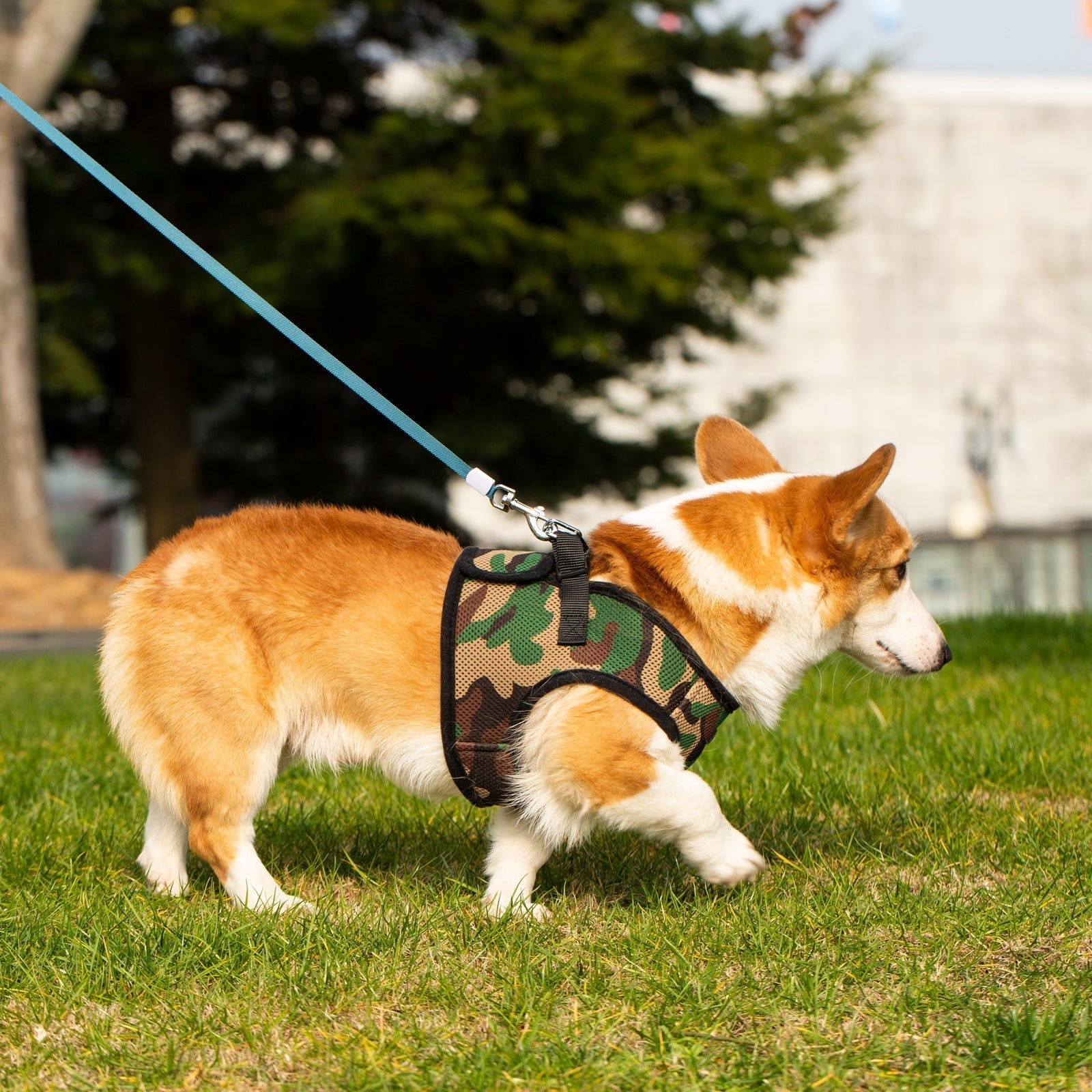 Mr. Peanuts PupTrek Harness and Leash Set, Small Dog/Cat Soft Mesh Step In Harness Vest