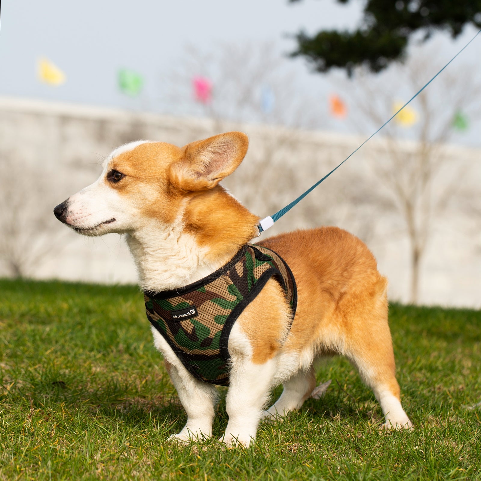Mr. Peanuts PupTrek Harness and Leash Set, Small Dog/Cat Soft Mesh Step In Harness Vest
