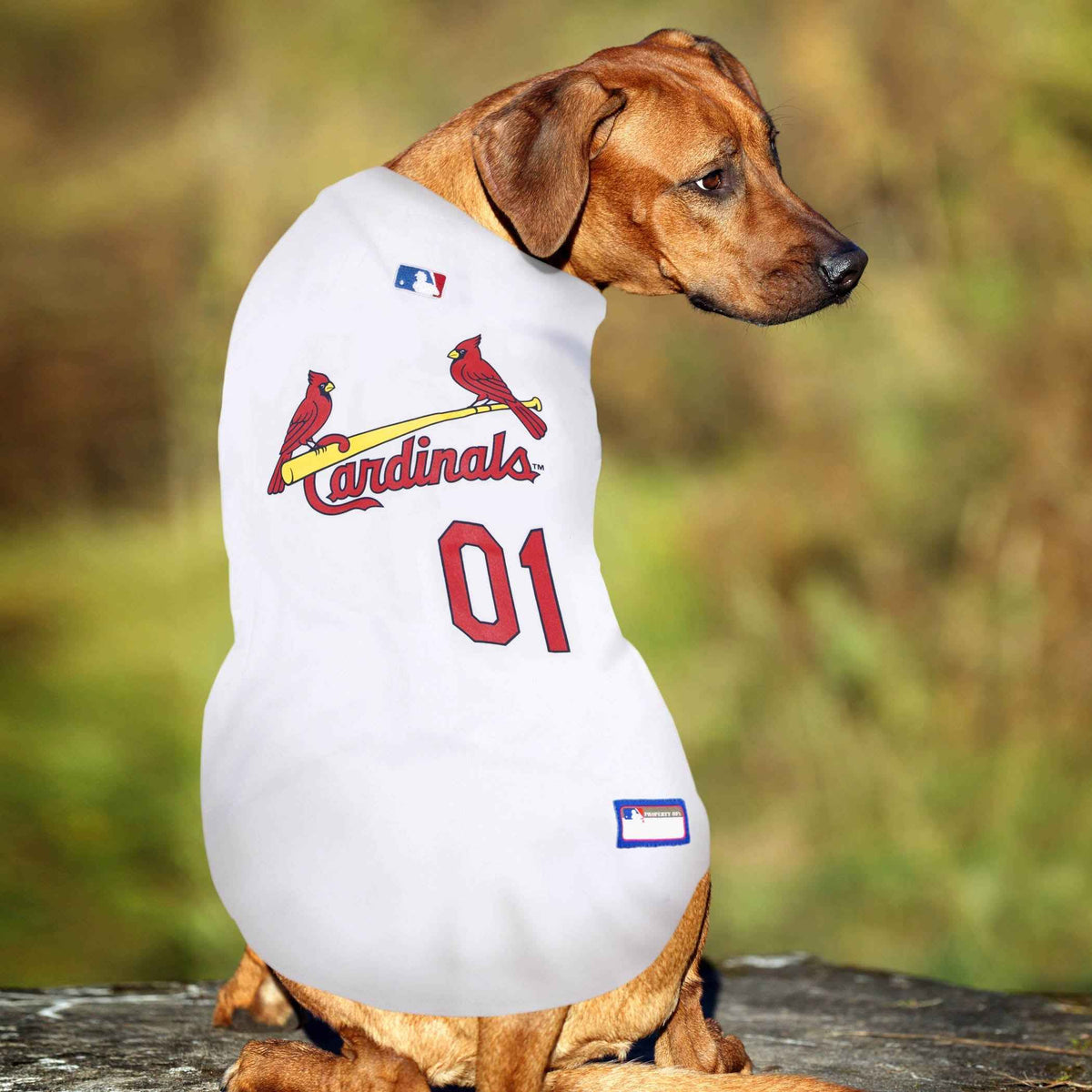 MLB St. Louis Cardinals Mesh Pet Jersey