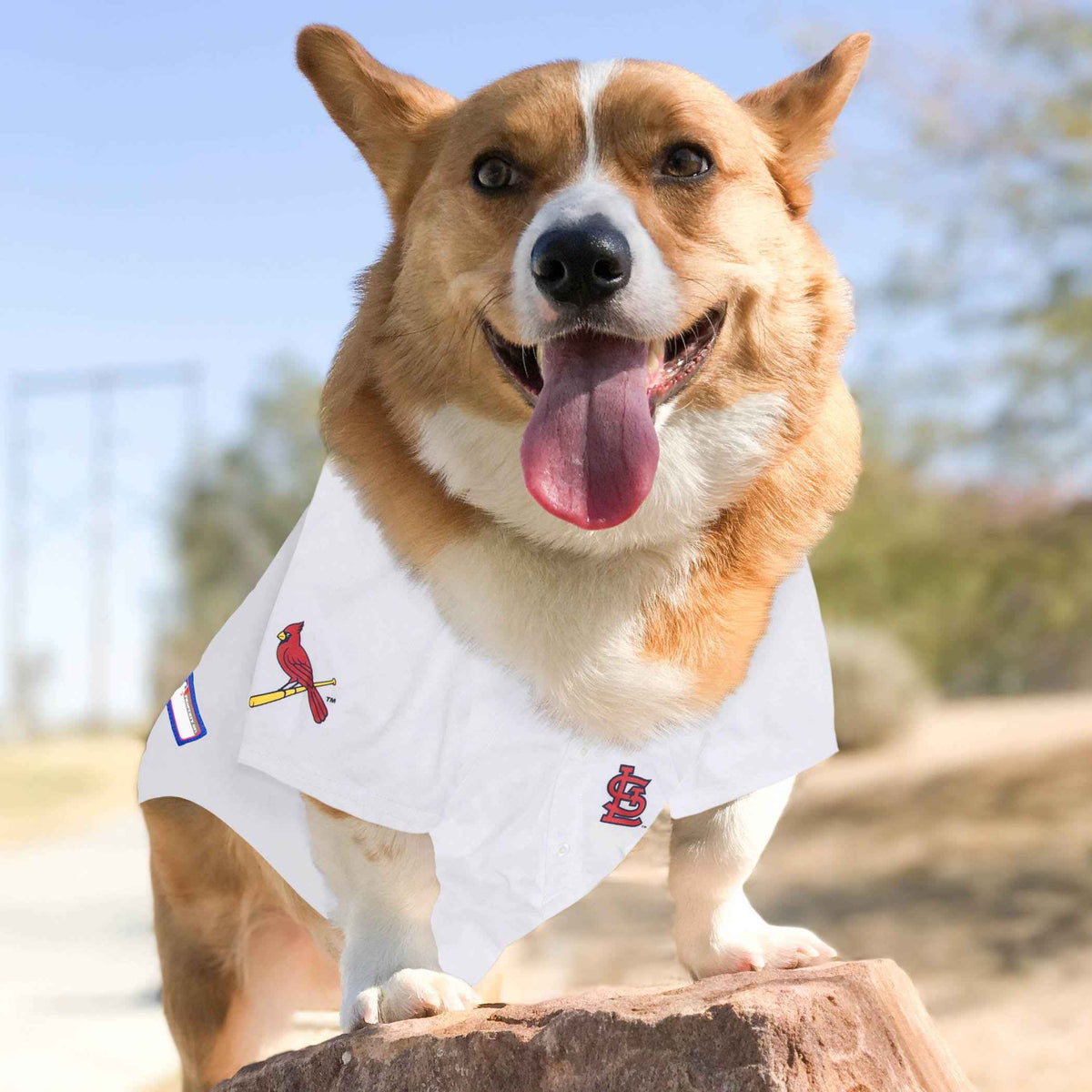 MLB St. Louis Cardinals Mesh Pet Jersey