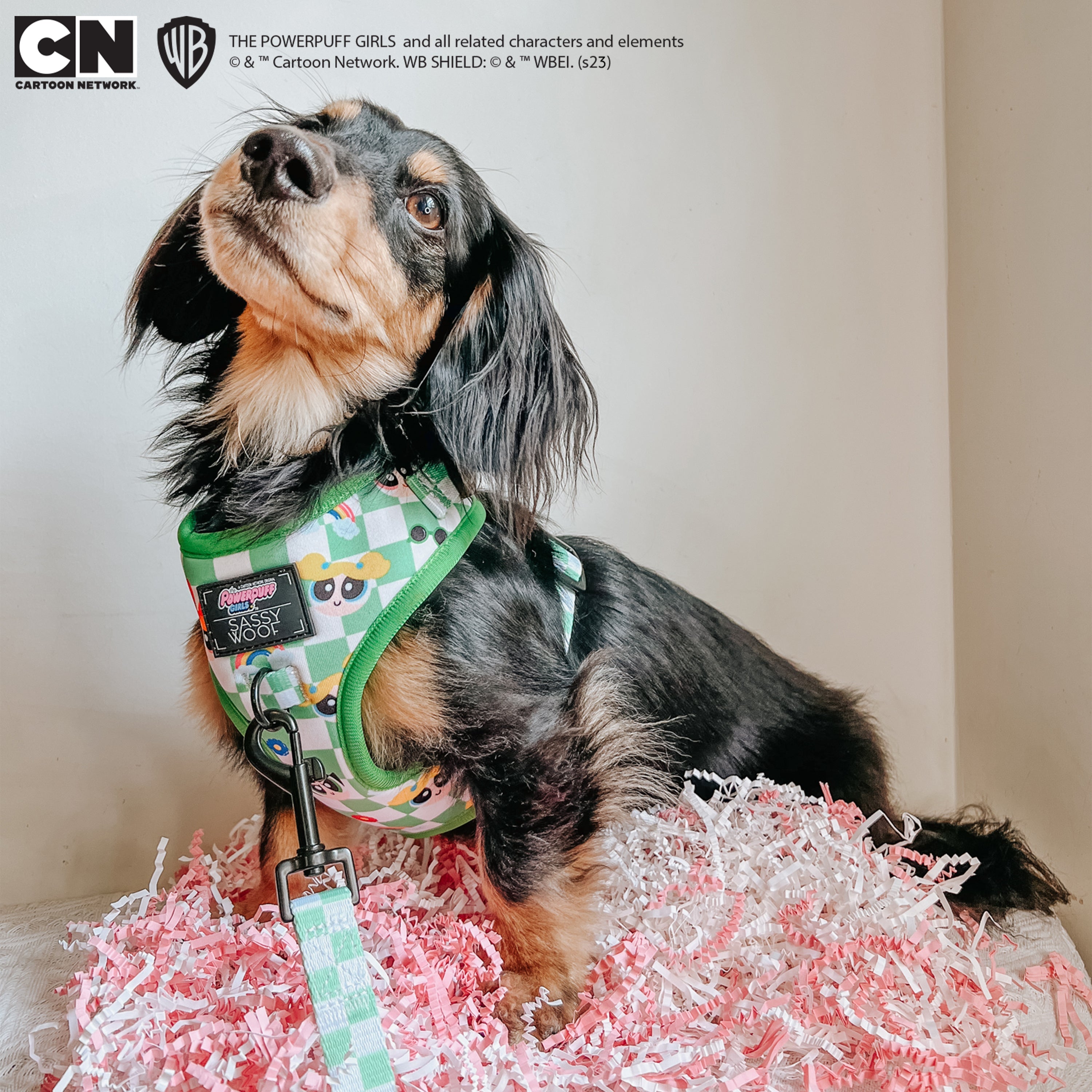 Dog Adjustable Harness - The Powerpuff Girls™ (Green)