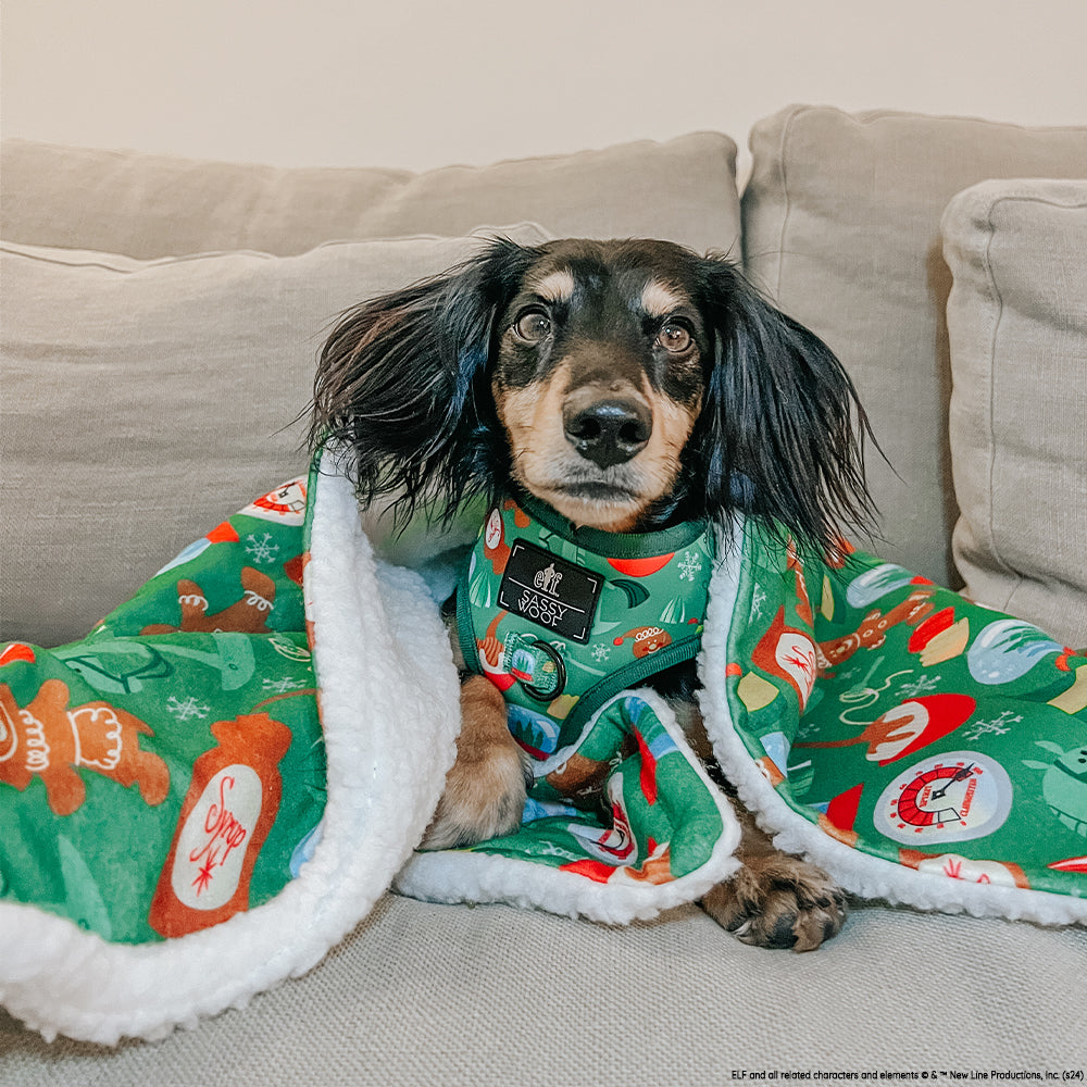 Dog Adjustable Harness - Elf™