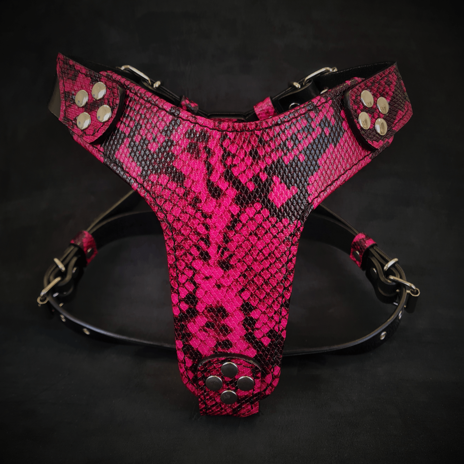 Bestia Rock Python Leather Small to Medium Dog Harness