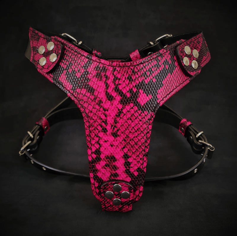 Bestia Dog Gear The Rock Python harness Small to Medium Size Genuine Leather pet supplies