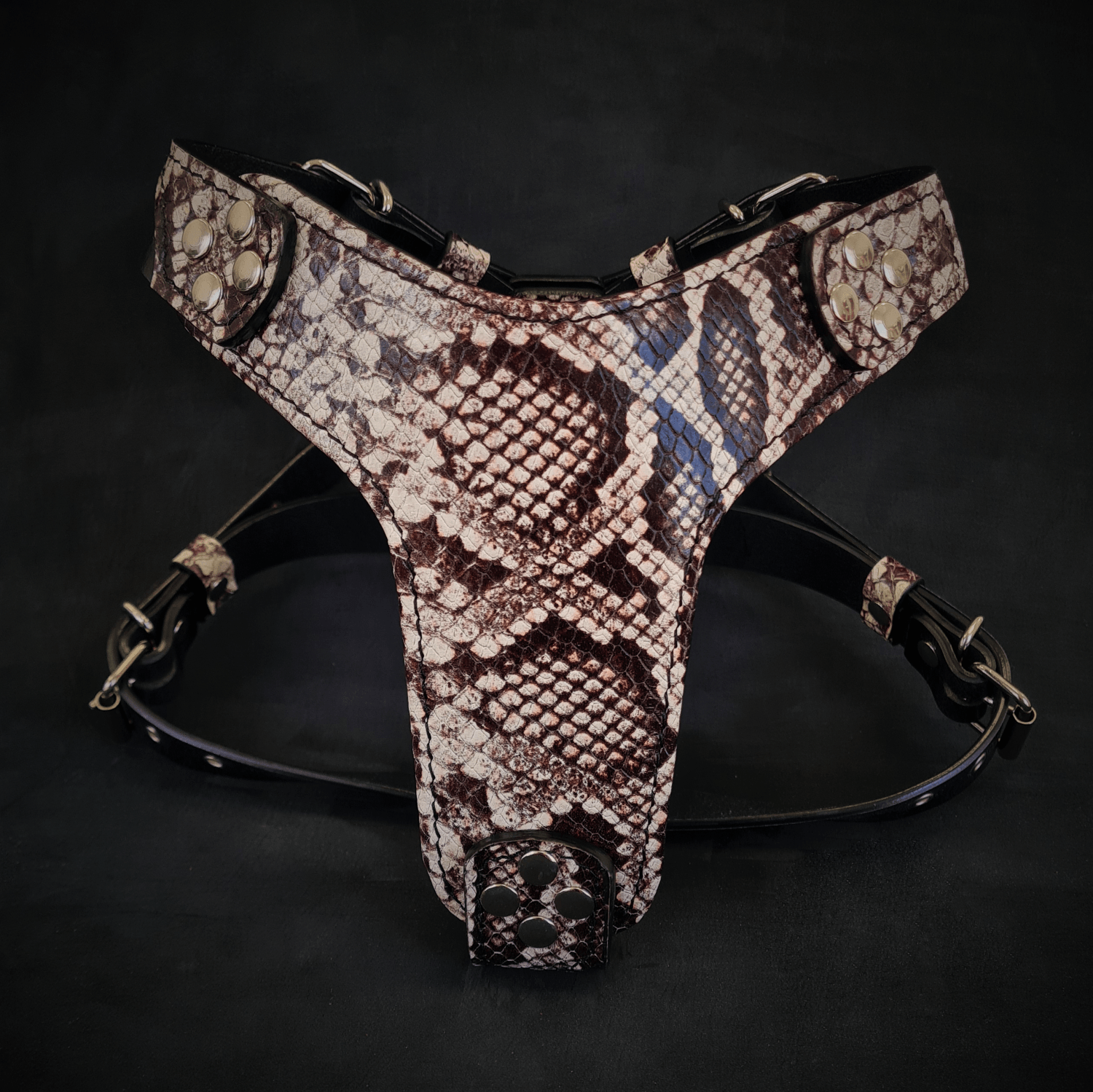 Bestia Rock Python Leather Small to Medium Dog Harness