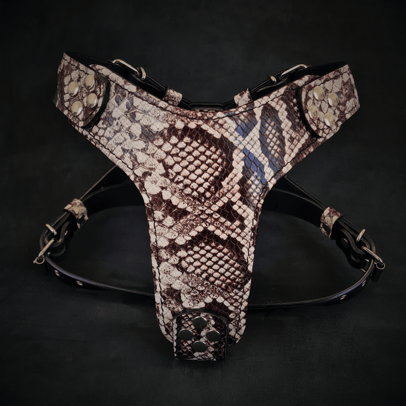 Bestia Dog Gear The Rock Python harness Small to Medium Size Genuine Leather pet supplies