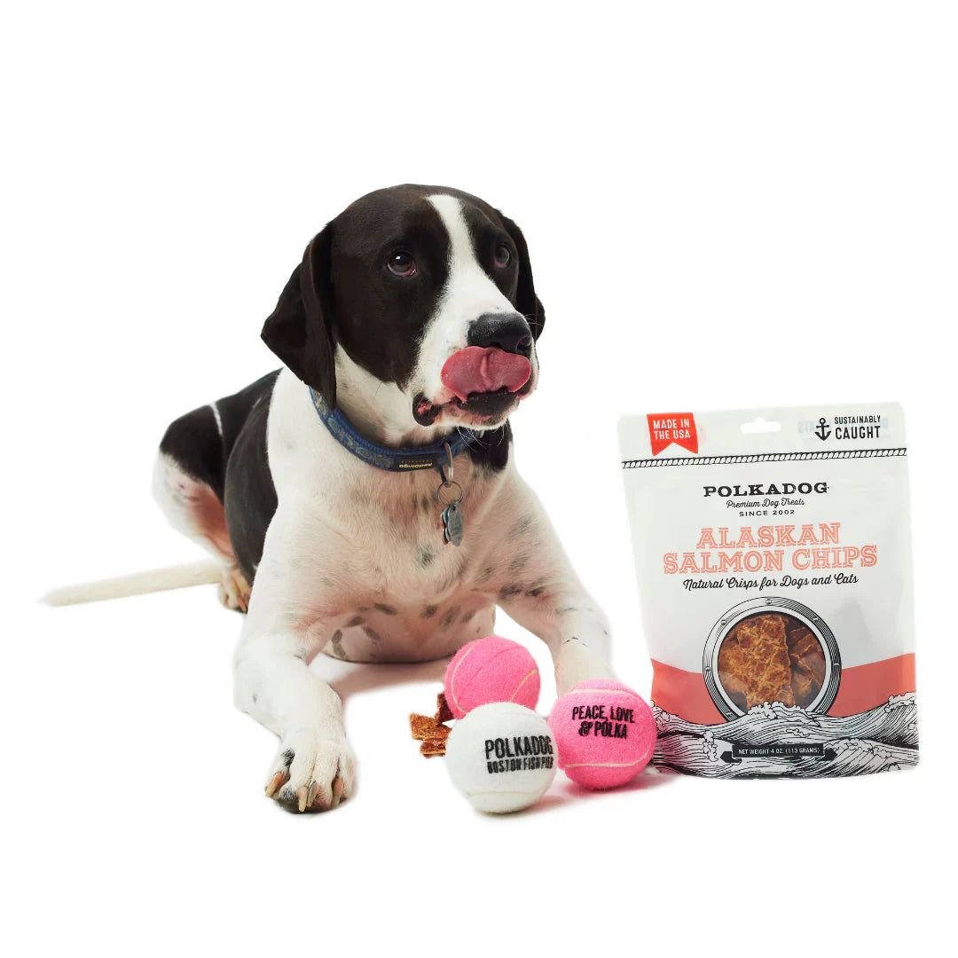 Polkadog Alaskan Salmon Chips (4oz) - HT Animal Supply