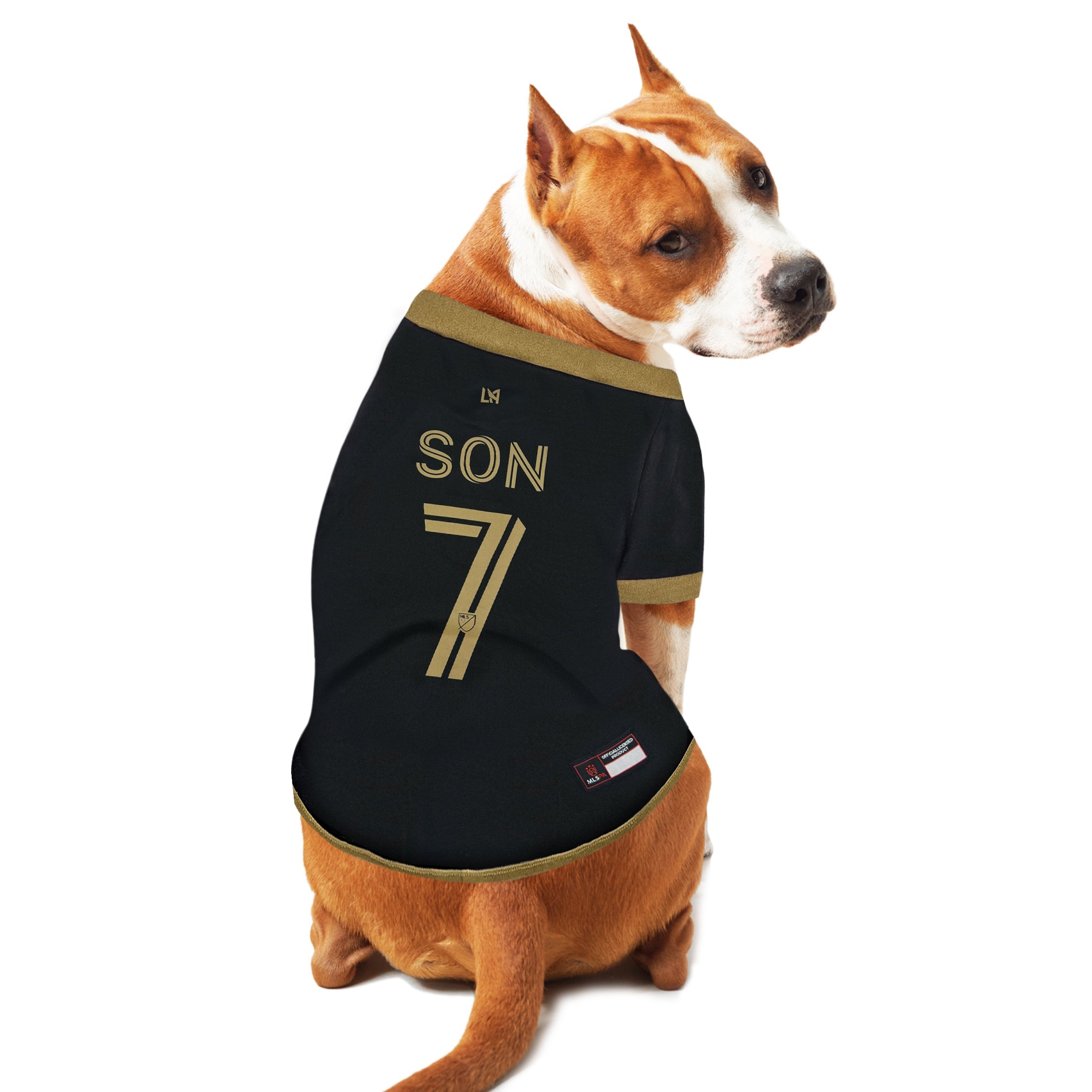 Son Heung-min Jersey (LAF)