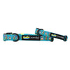 Dog Collar - SpongeBob SquarePants™ Jelly Fishin