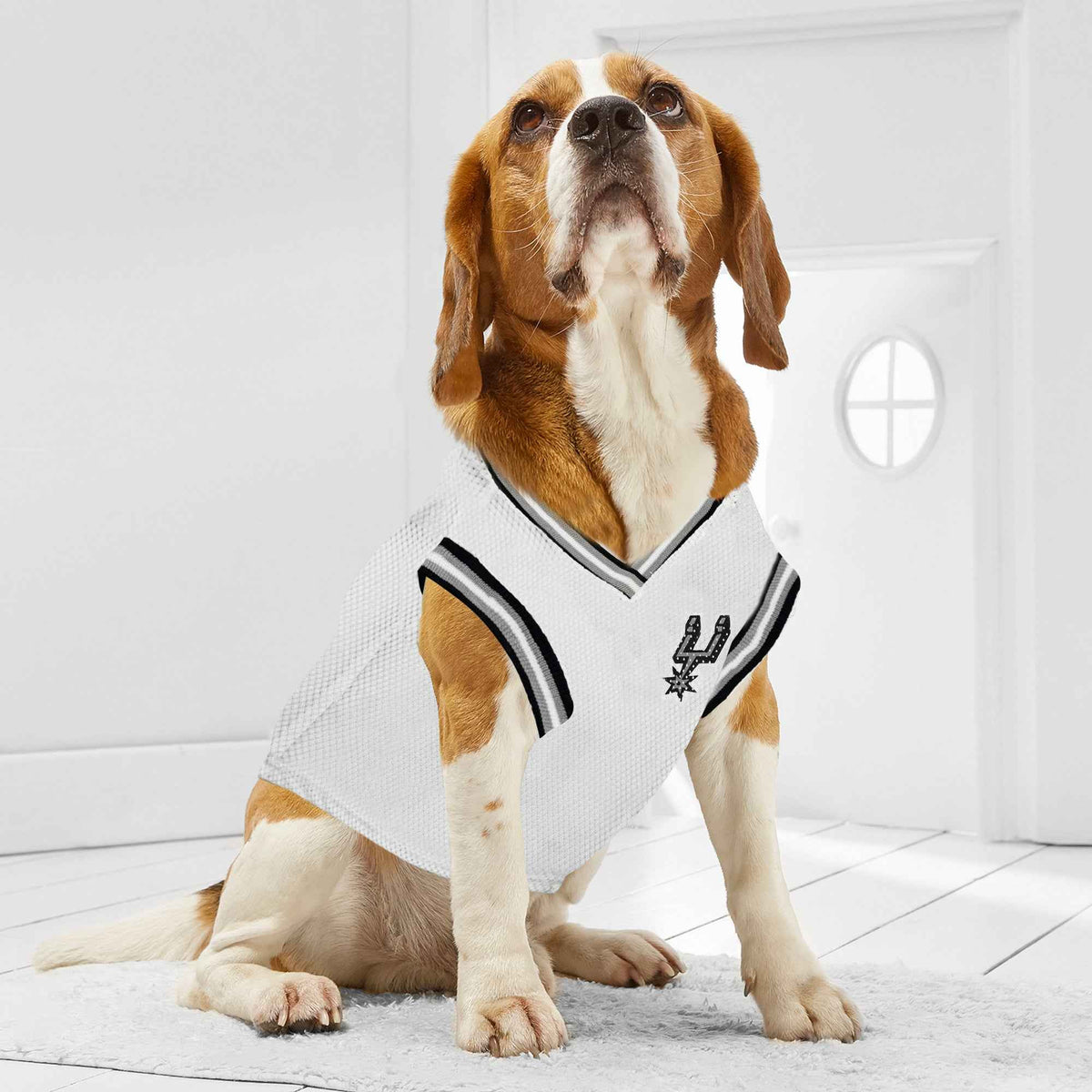 NBA San Antonio Spurs Road Basketball Pet Jersey