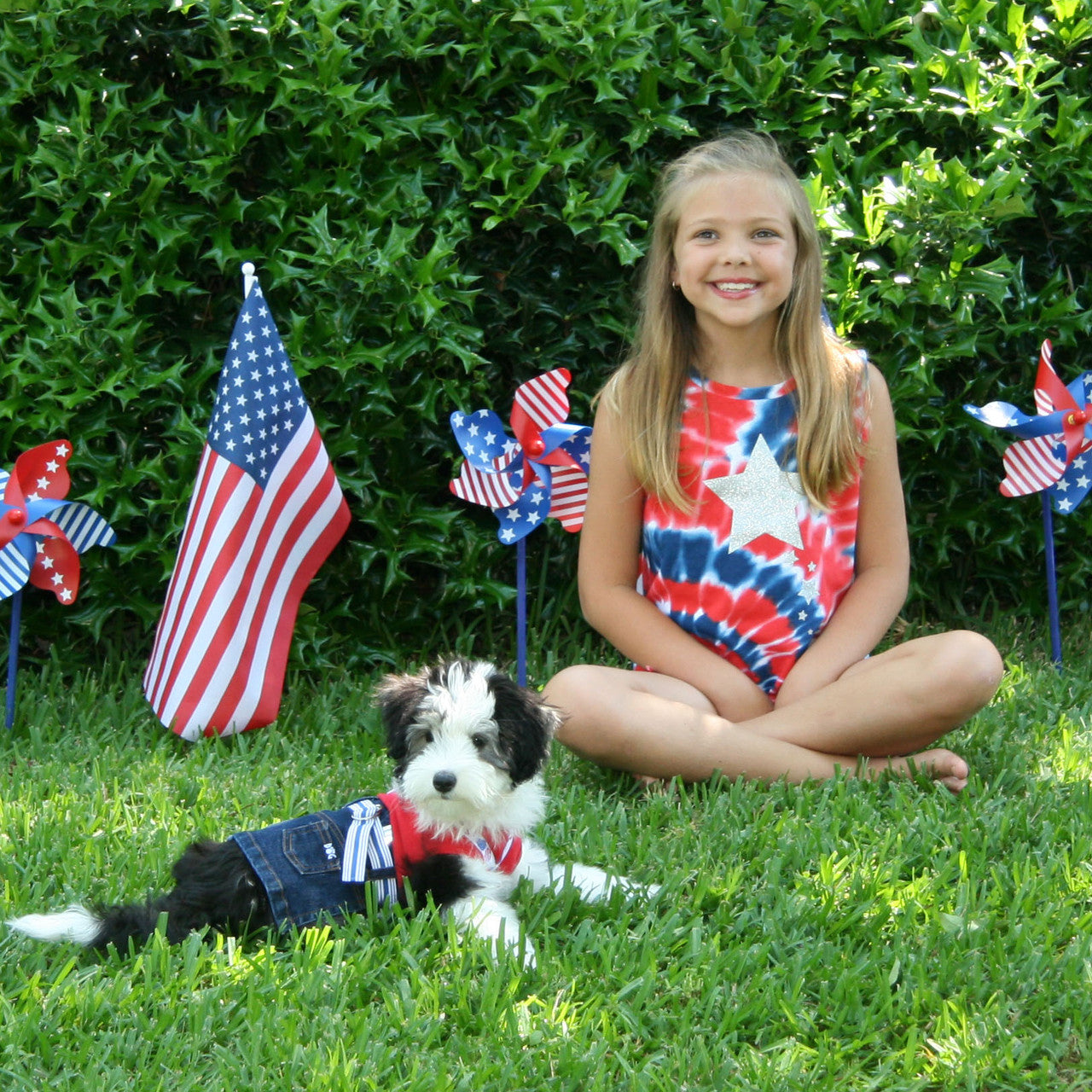 Jane Denim Dog Skirt