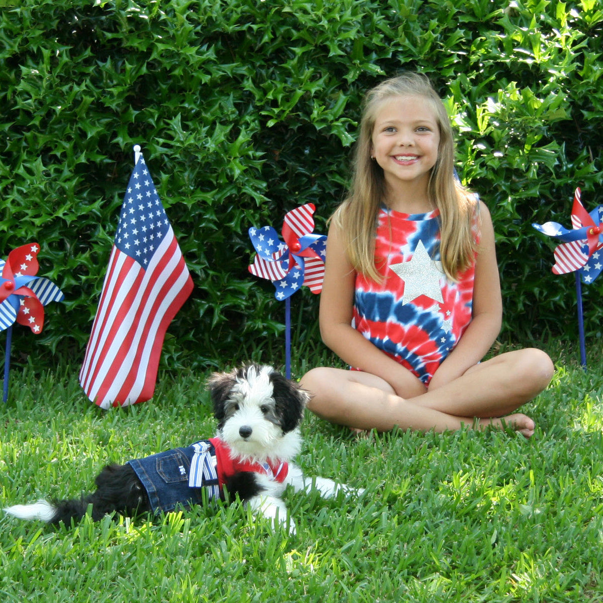 Jane Denim Dog Skirt
