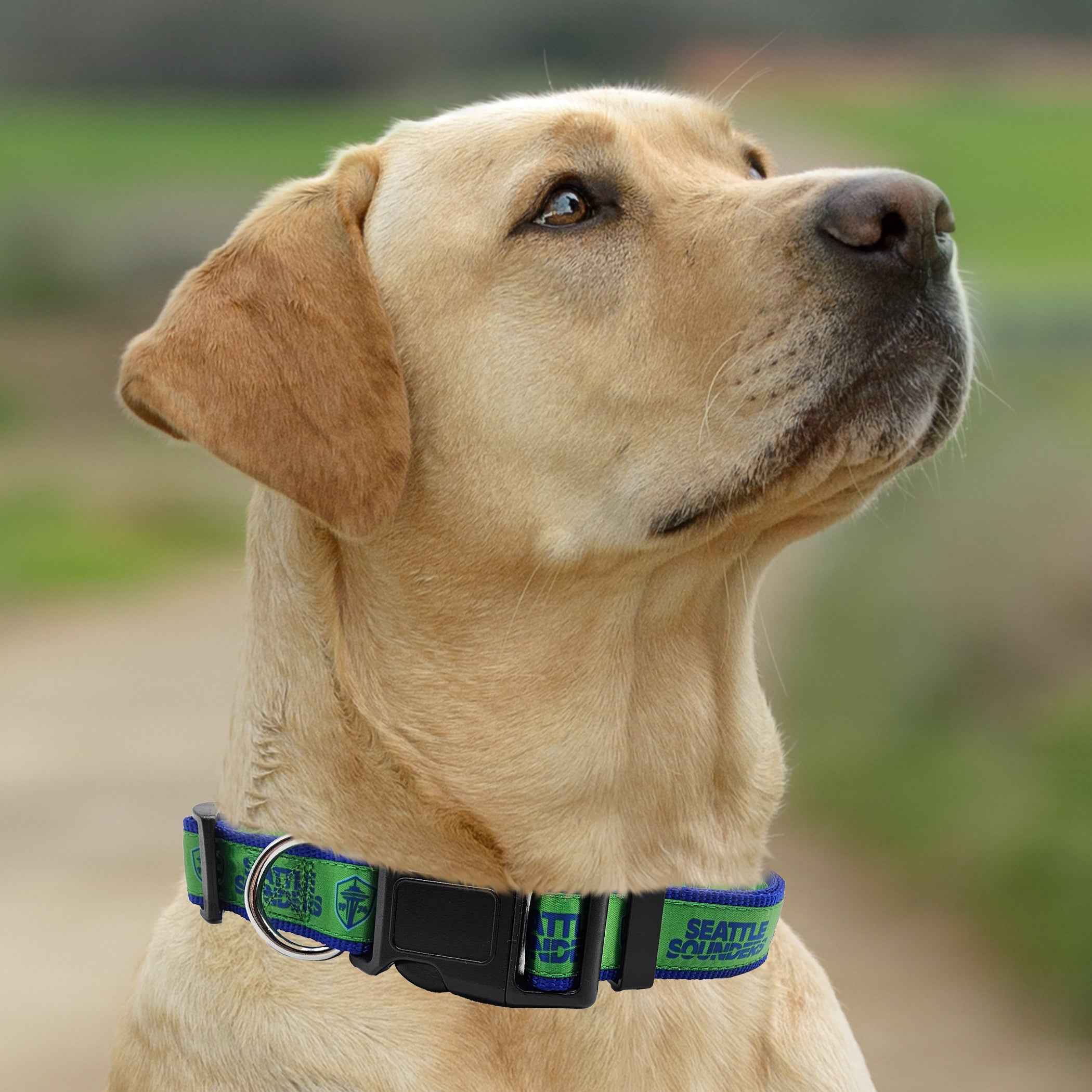 Seattle Sounders FC Satin Collar