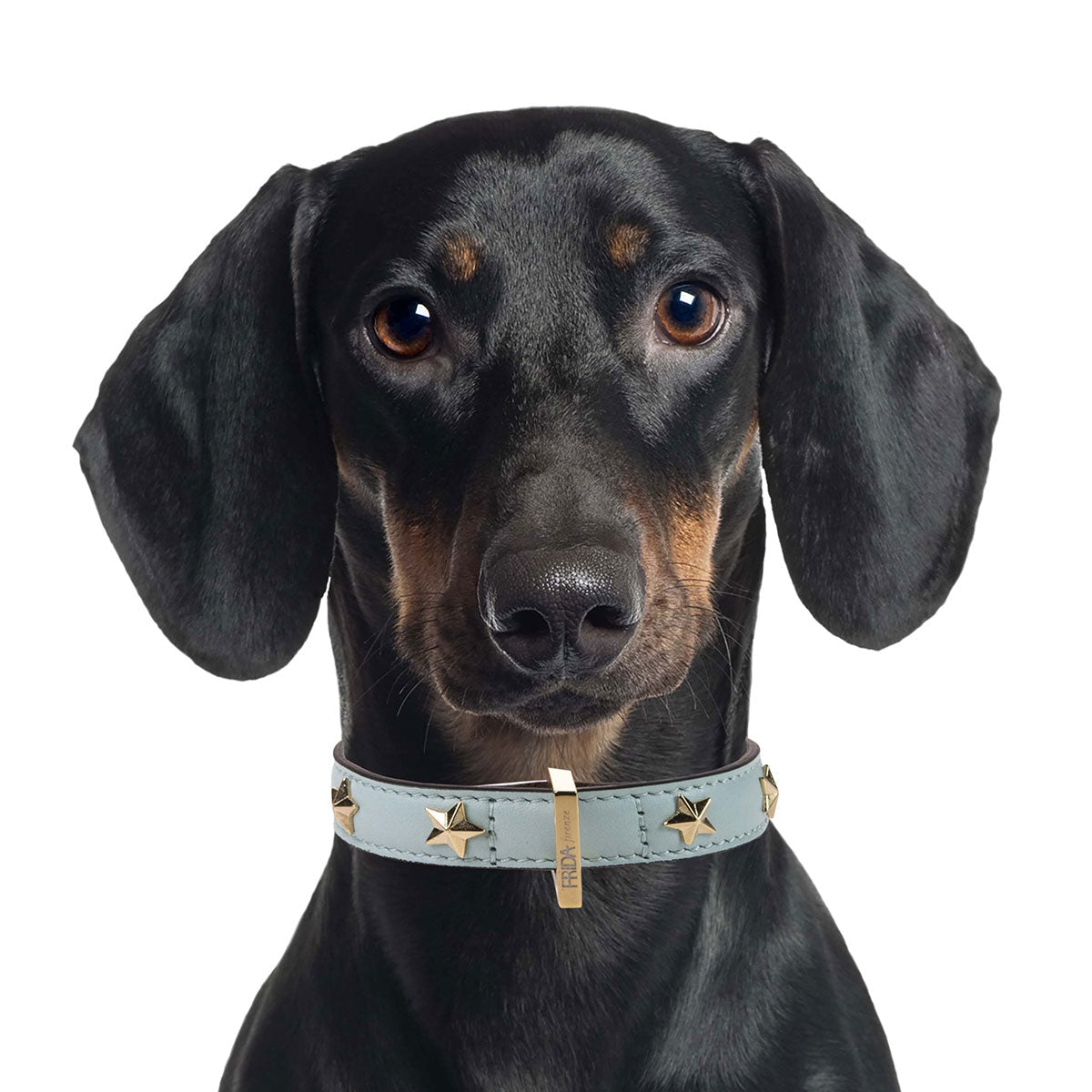 Leather Dog Collar in Cloud - Stud Star, Made in Italy