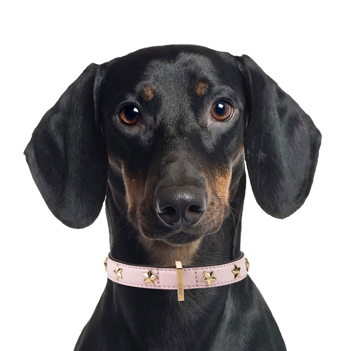 Leather Dog Collar in Pink - Stud Star, Made in Italy