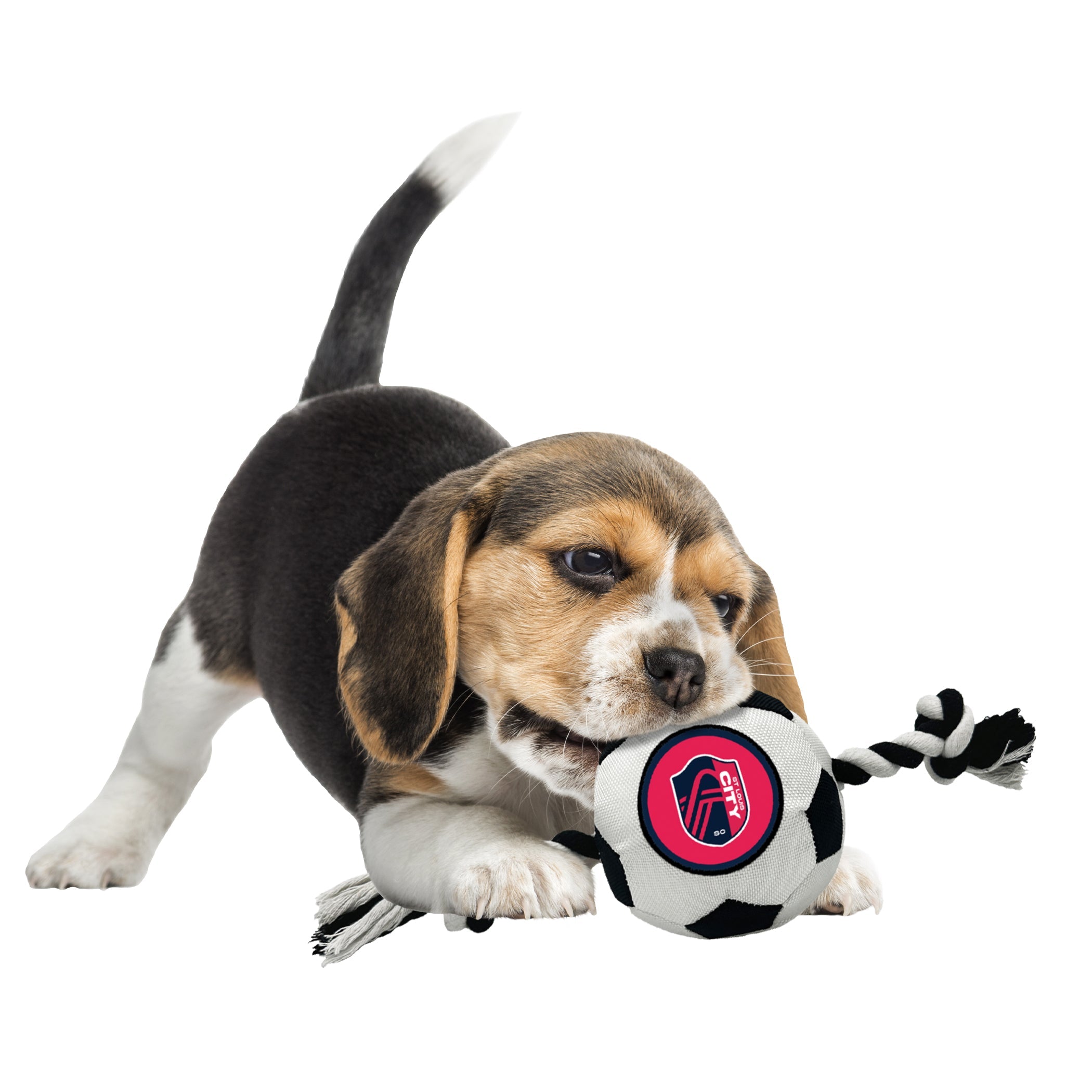 St. Louis City SC Soccer Ball Rope Toy