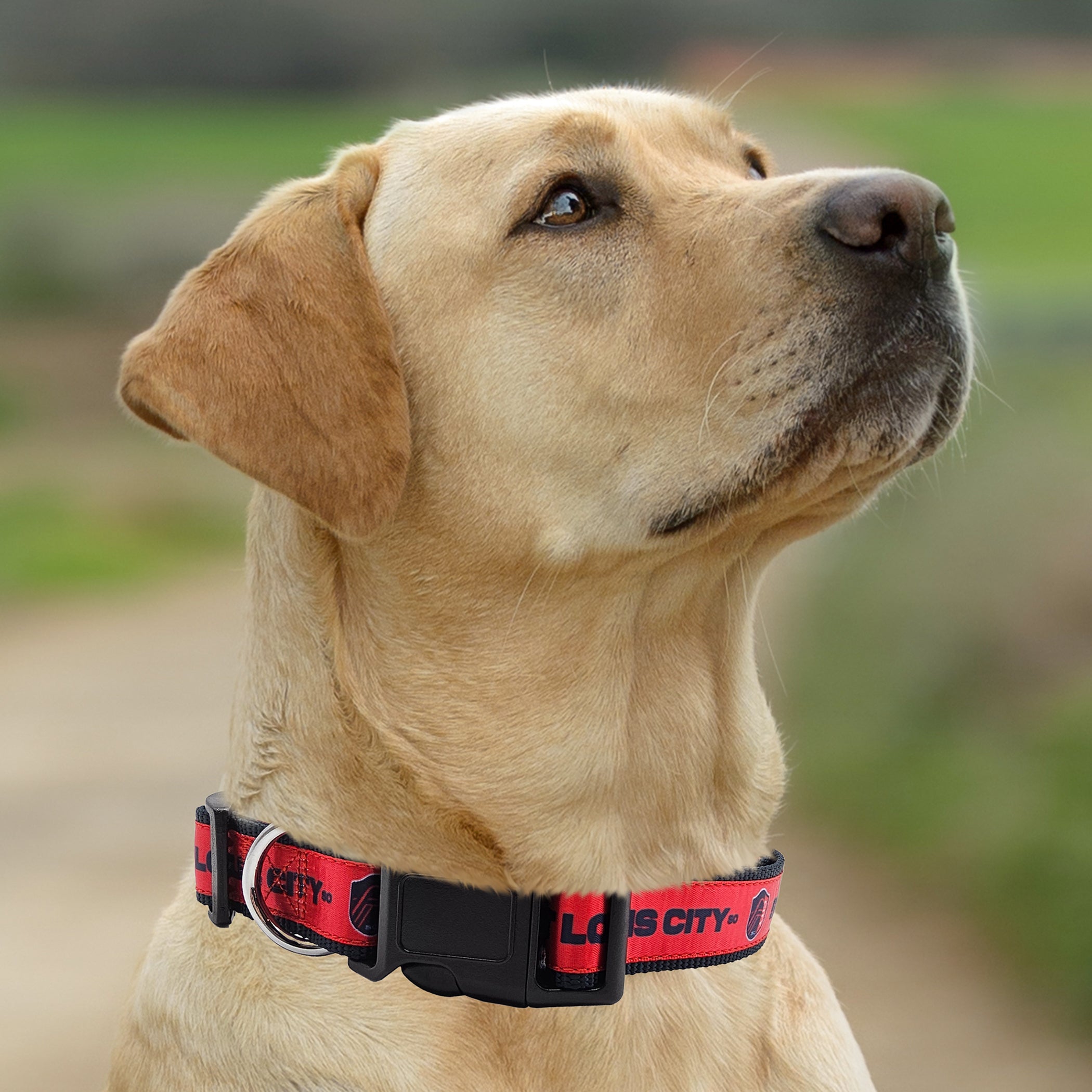 St. Louis SC Satin Collar