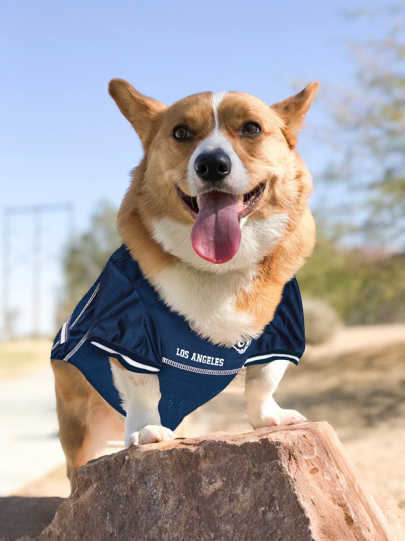 NFL Los Angeles Rams Mesh Pet Jersey