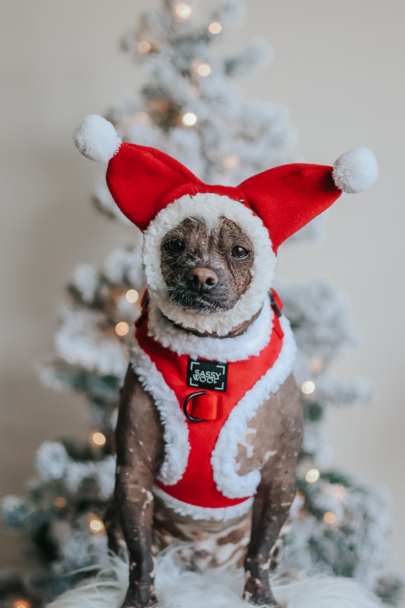 Dog Adjustable Harness - Naughty